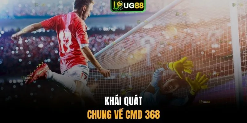 Khái quát chung về CMD 368 